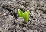 new beginning thumbnail